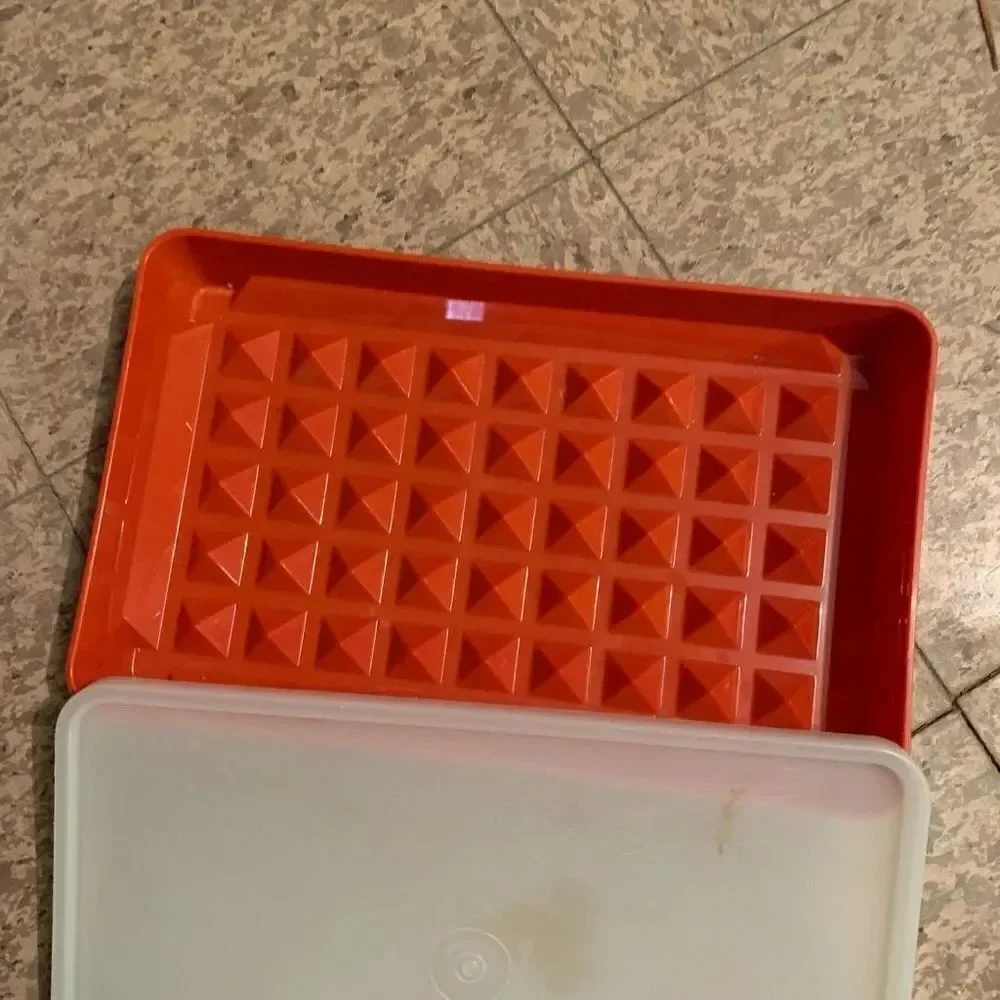 Tupperware 1292-7 Hot Dog Bacon Deli Meat Keeper